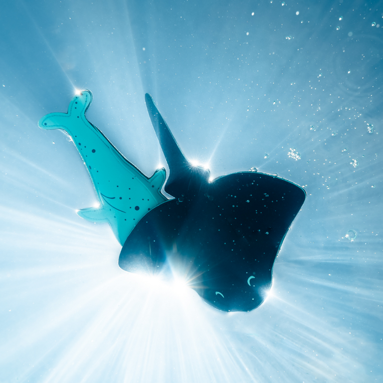 Whale and stingray themed toys, floating in the pool