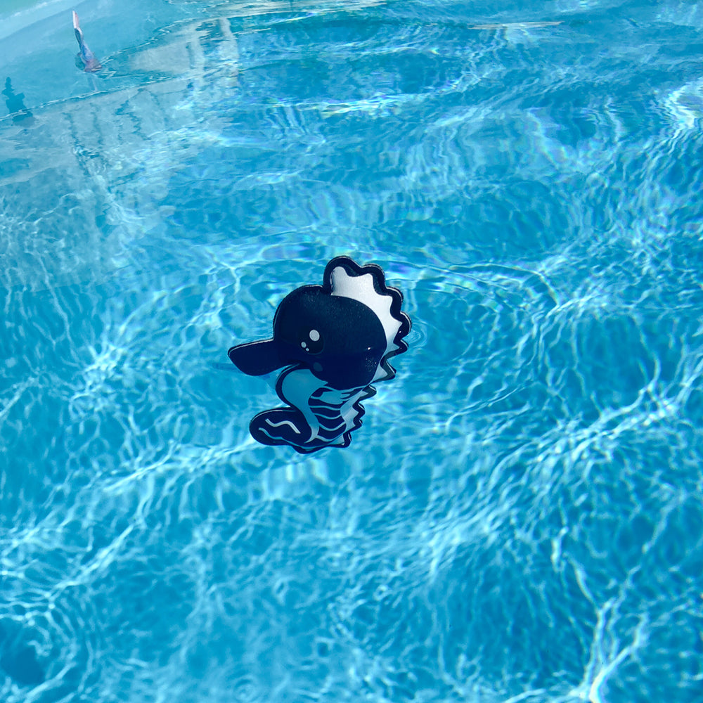 Seahorse toy floating in the pool